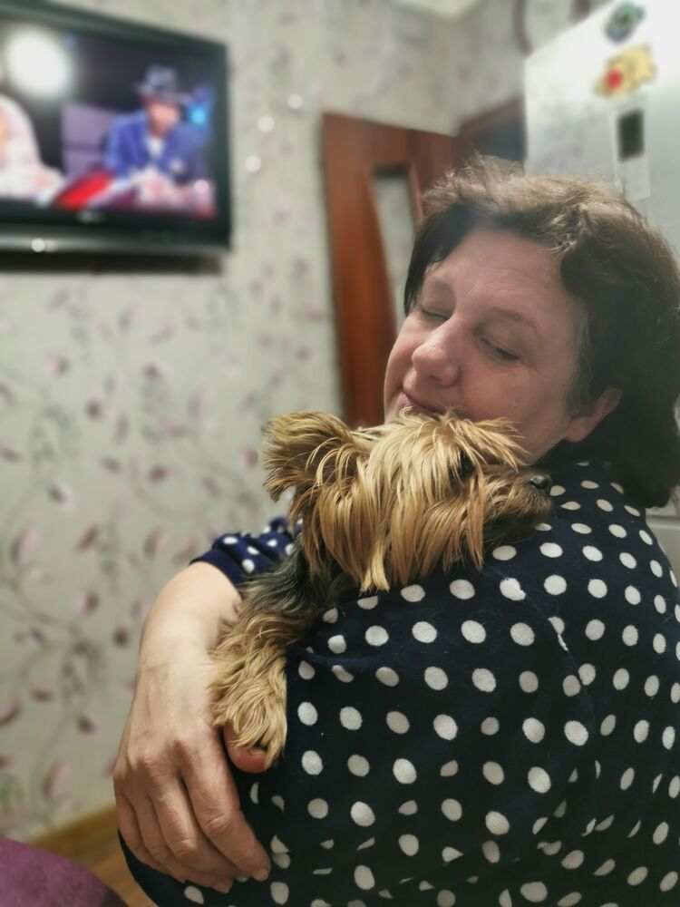 ���������� �����-���������, ���� ������� �������, 48 ���, ������������ ��� ����� � ���������, c�������� ���������