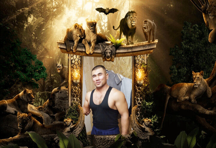 ���������� �����������, ���� ������� ���������, 40 ���, ������������ ��� ������, ����� � ���������