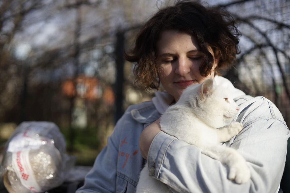 ���������� ���������, ���� ������� ����, 22 ����, ������������ ��� ������, ����� � ���������