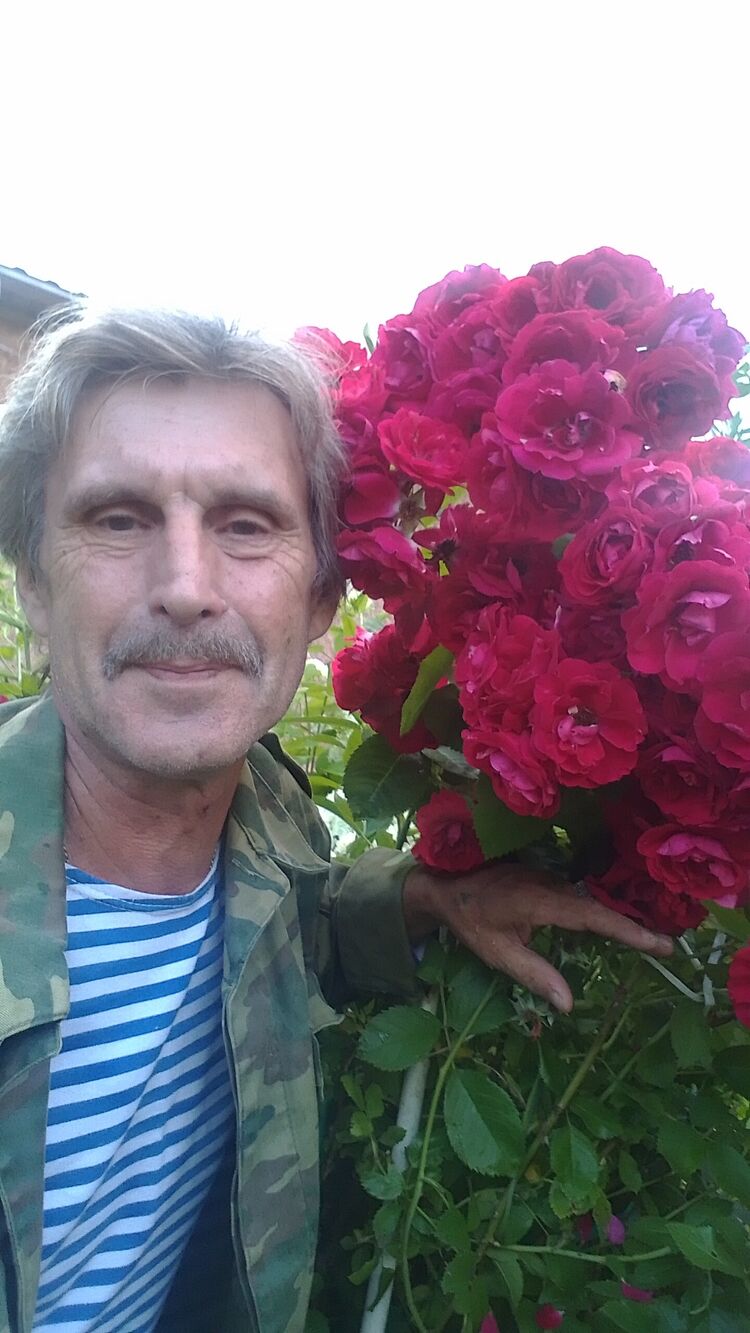 ,   , 63 ,   ,   