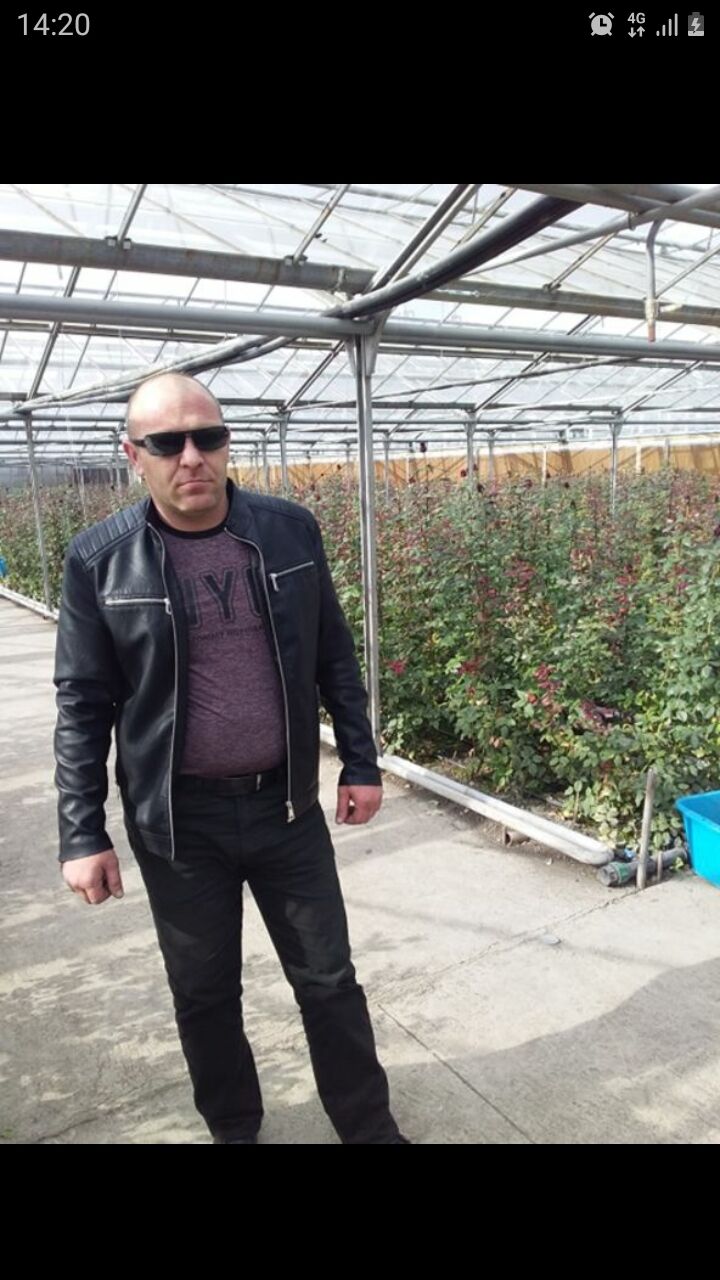 ���� 23379535 ������� �������, 39 ���, ���� ���������� � ���������