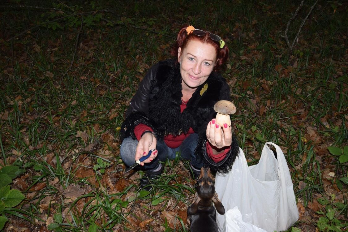 ���������� ���������, ���� ������� Simfoniua, 58 ���, ������������ ��� c�������� ���������