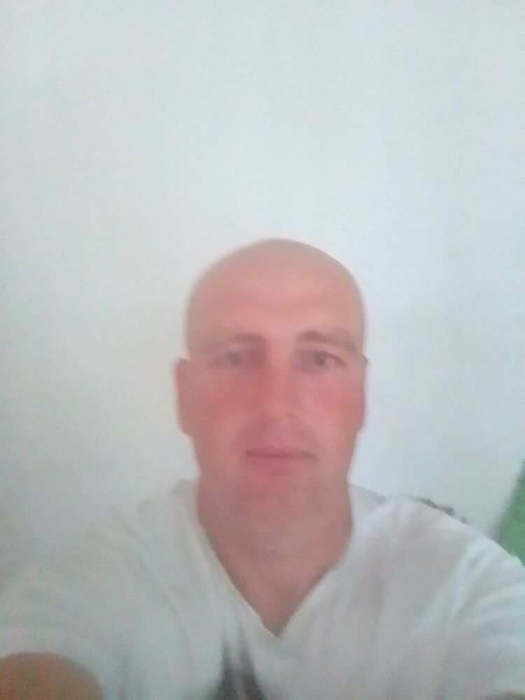  43125915  , 40 ,    