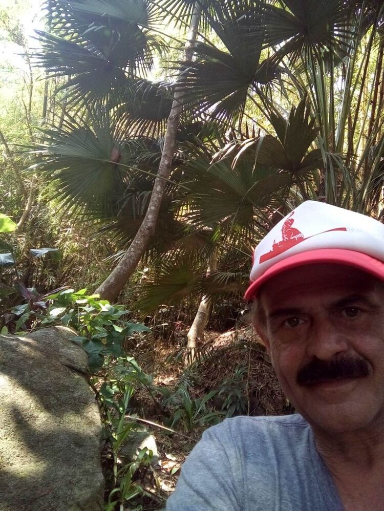 ���������� ����, ���� ������� StoneLion, 57 ���, ������������ ��� ������, ����� � ���������, c�������� ���������