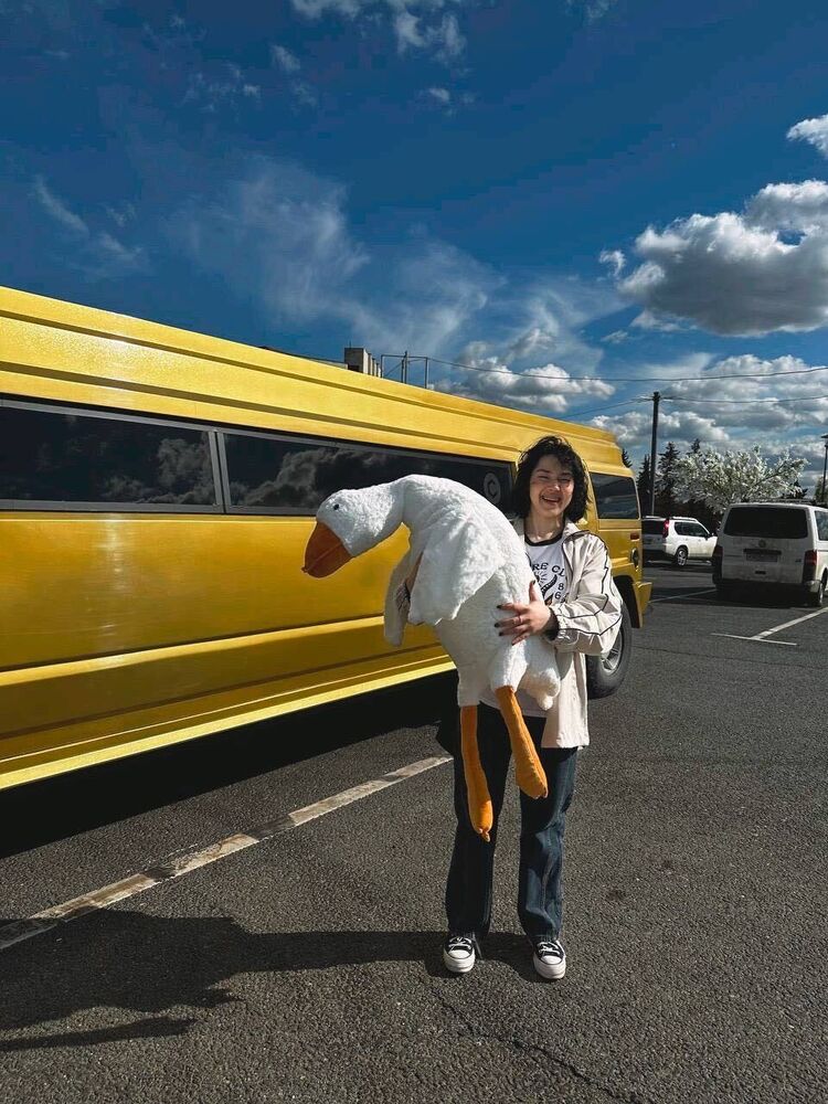 ���������� ������, ���� ������� ��������, 26 ���, ������������ ��� ������, ����� � ���������, c�������� ���������, ���������