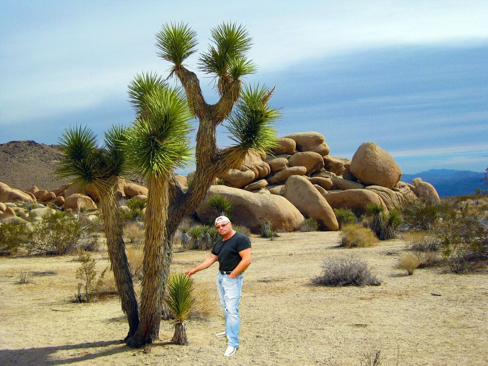  ,   Rolands, 64 ,   