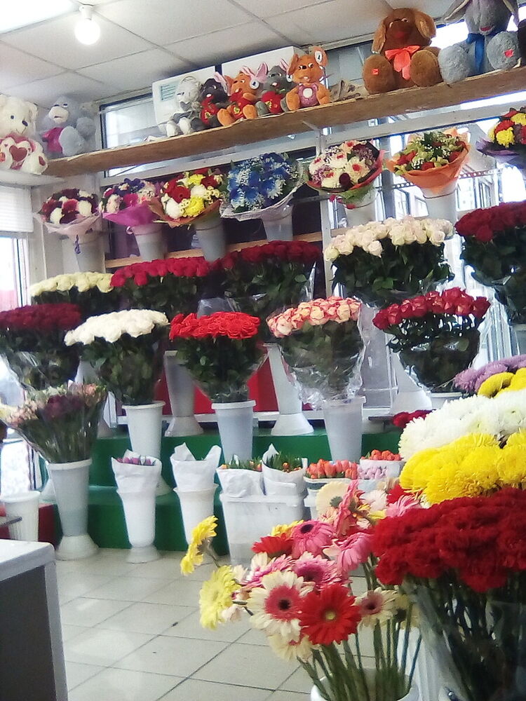 ���� 19995115 ������� �����, 38 ���, ���� ���������� � �����-����������