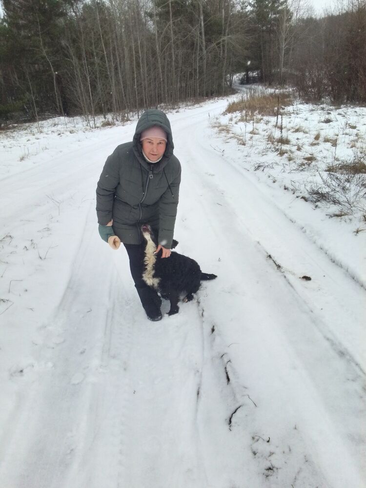 ���� 55515115 ������� ����, 55 ���, ���� ���������� � �����