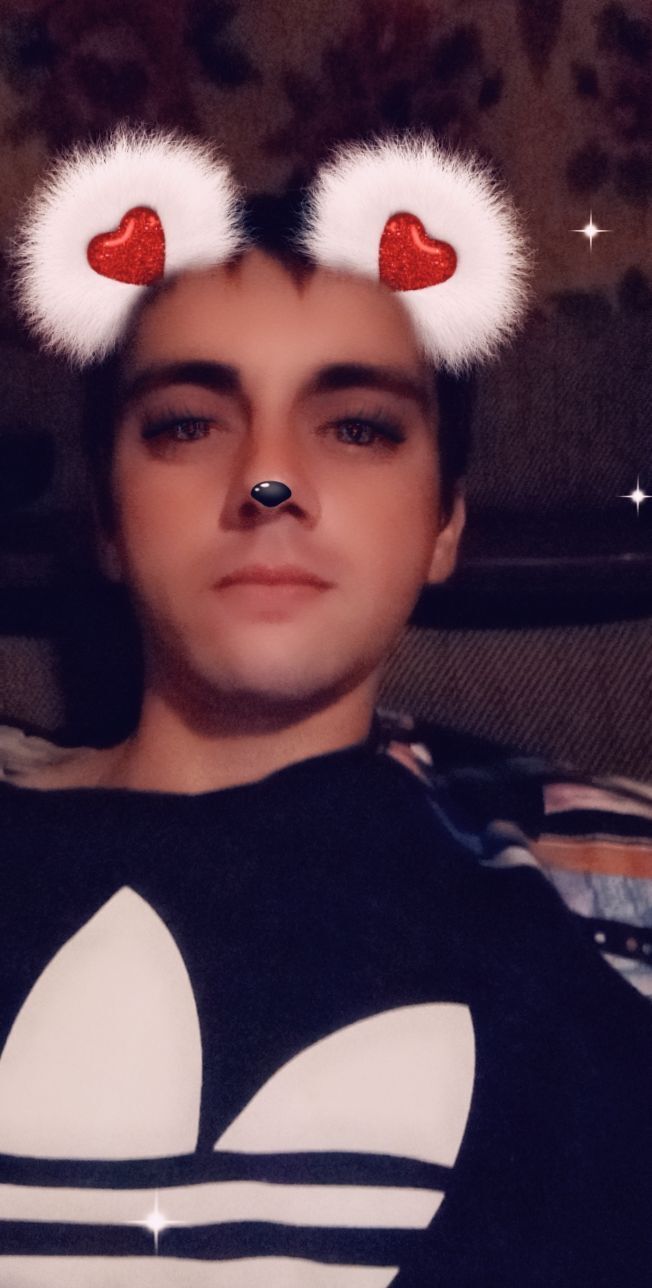  40674335  , 36 ,    -