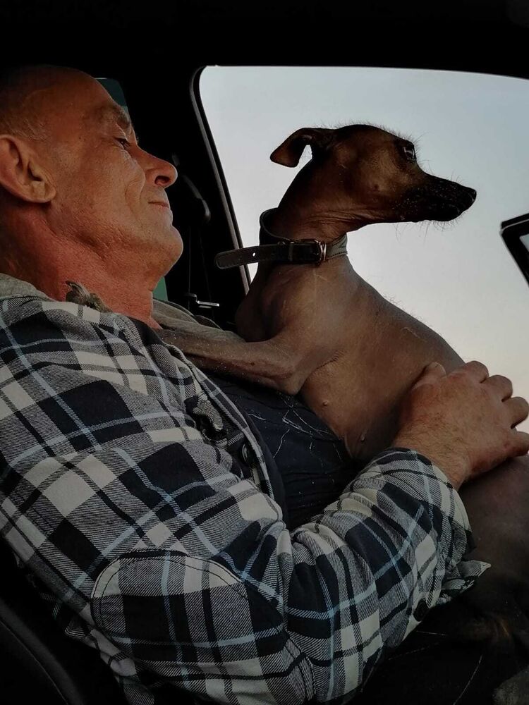 ���� 24734635 ������� ���������, 55 ���, ���� ���������� � �����