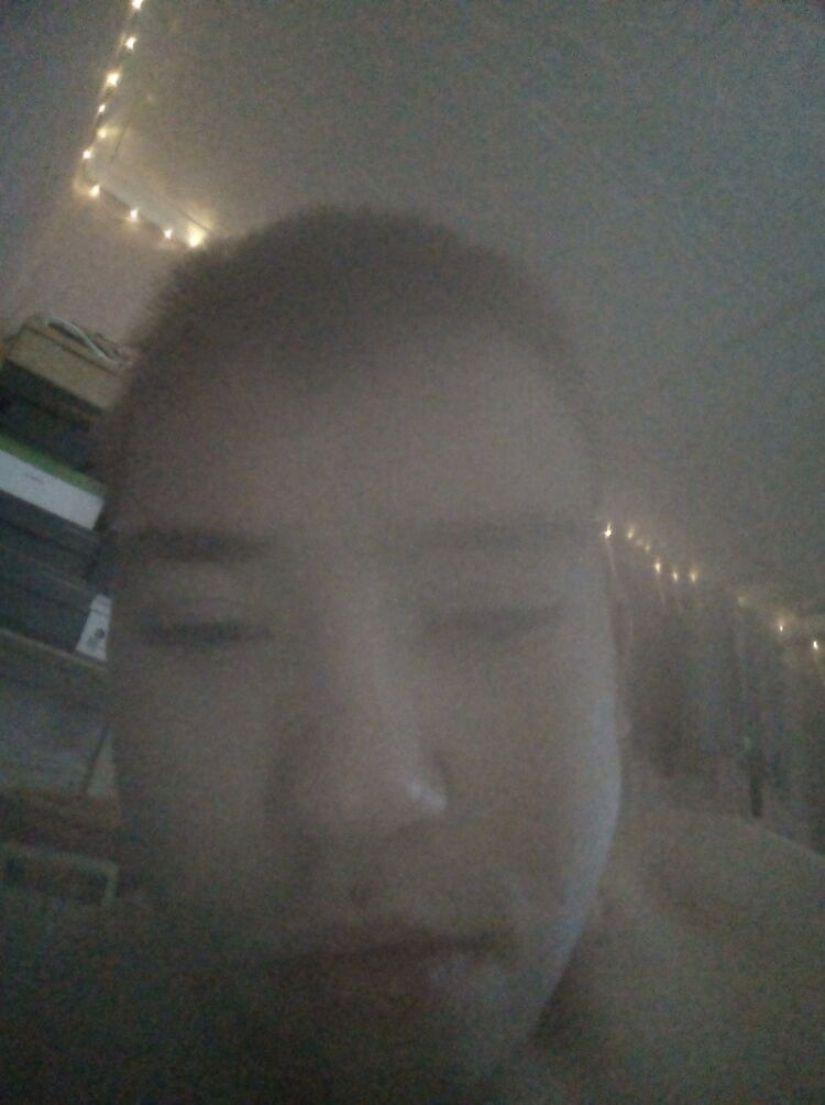  29660655  , 97 ,    -