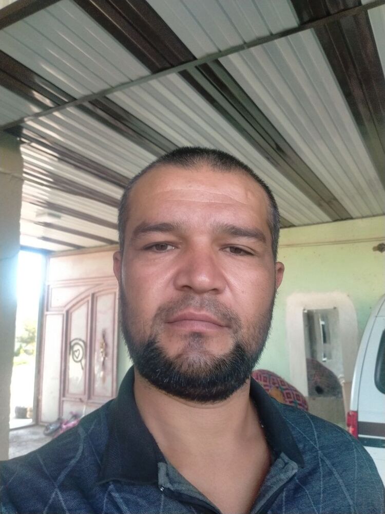 ���� 39999205 ����� �������, 24 ����, ���� ���������� � ����