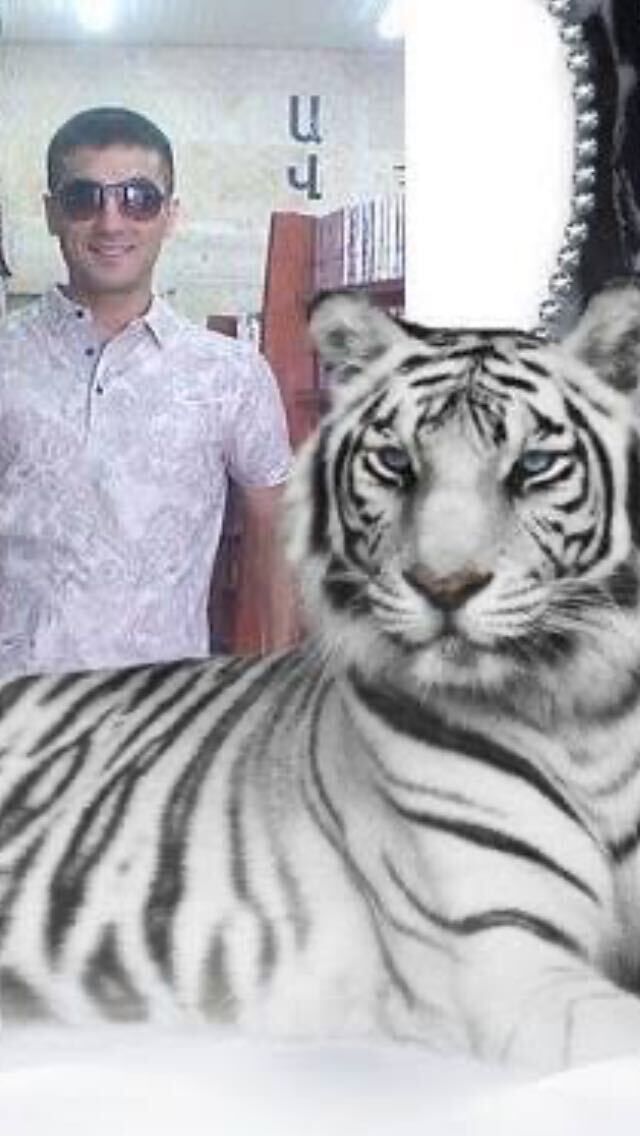 ���������� ������, ���� ������� ���, 43 ����, ������������ ��� ������, ����� � ���������