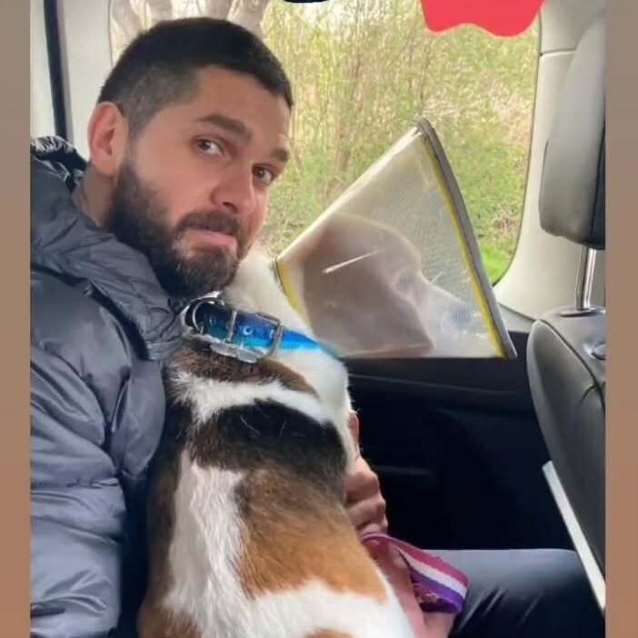 ���� 54580105 ������� ����, 36 ���, ���� ���������� � ���������