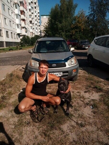 ���������� ���������, ���� ������� ����, 38 ���, ������������ ��� ����� � ���������, c�������� ���������