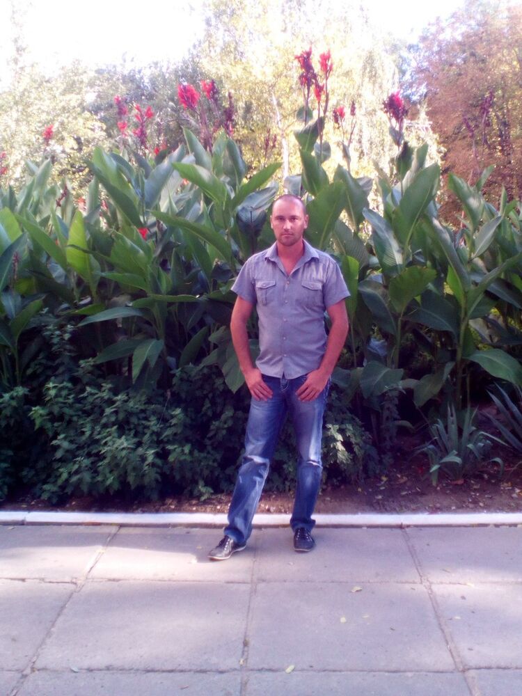 ���������� ������, ���� ������� �������, 40 ���, ������������ ��� ����� � ���������, c�������� ���������