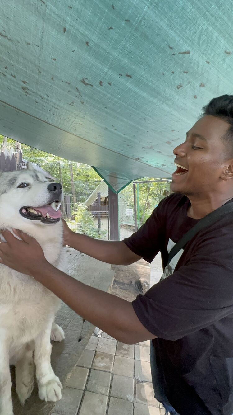 ���������� ������, ���� ������� ������������, 26 ���, ������������ ��� ������