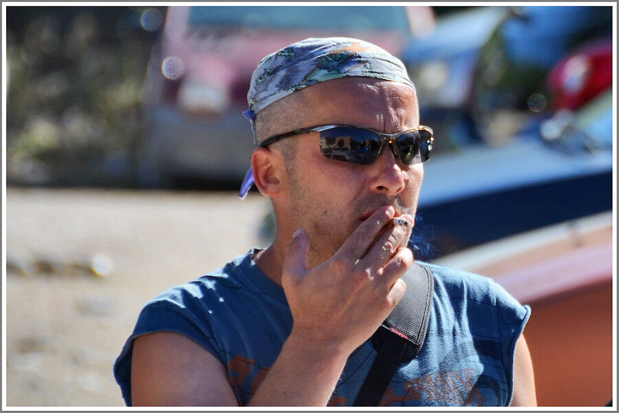  ,   Gioberi, 52 ,   