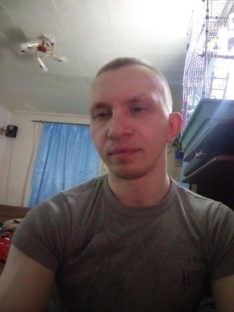  43481255  , 31 ,    