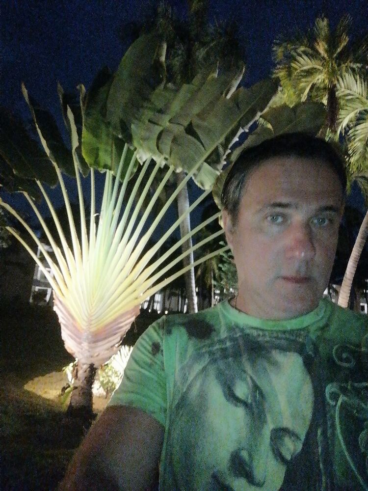 ���������� ������, ���� ������� ������, 43 ����, ������������ ��� ������, ����� � ���������