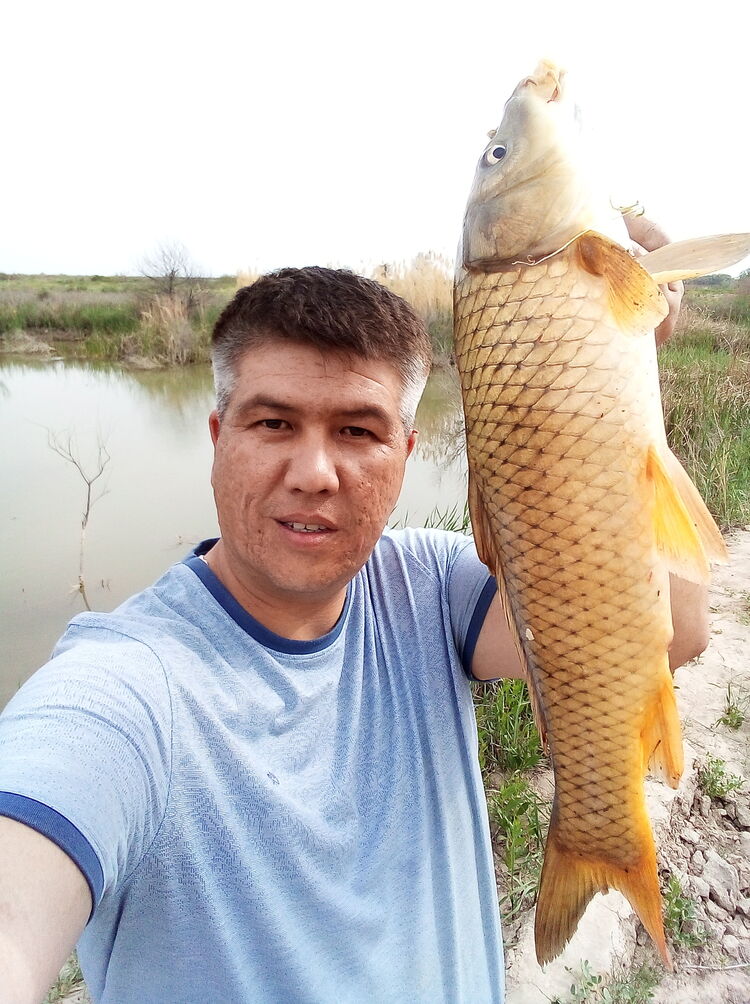 ���������� �������, ���� ������� ����, 41 ���, ������������ ��� ������, ���������