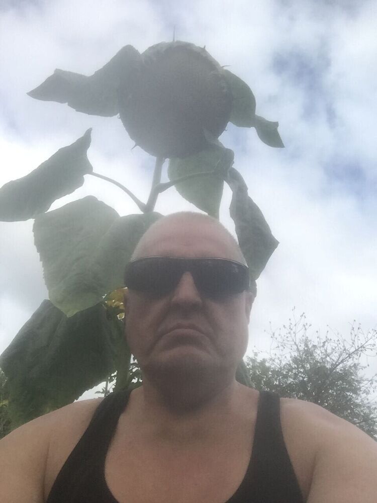 ���� 37562275 ������� ������, 54 ����, ���� ���������� � ������