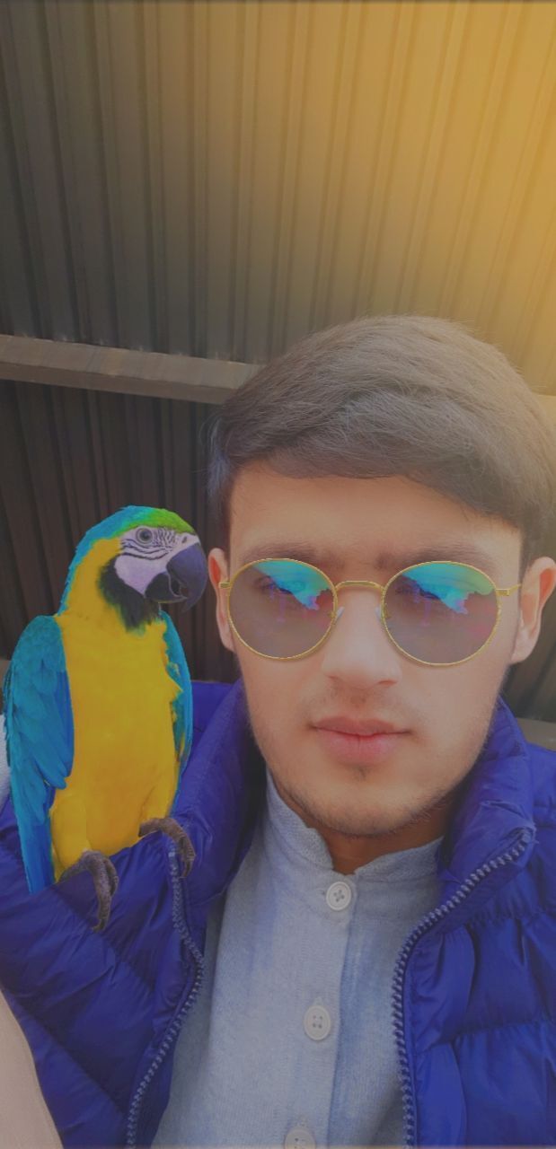 ���� 23309005 ������� Bexruzbek, 30 ���, ���� ���������� � ��������