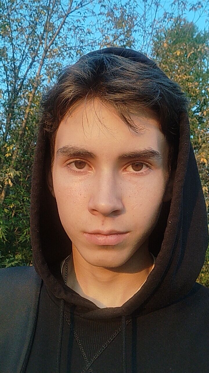  39268875  , 20 ,     