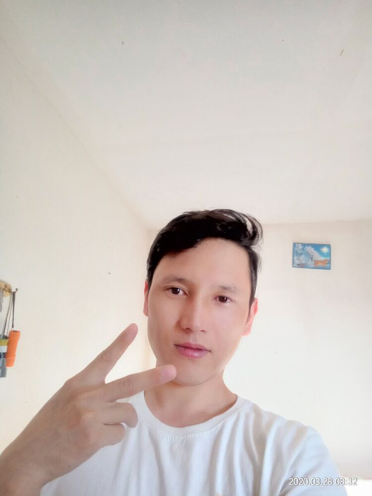  20312335  , 33 ,    
