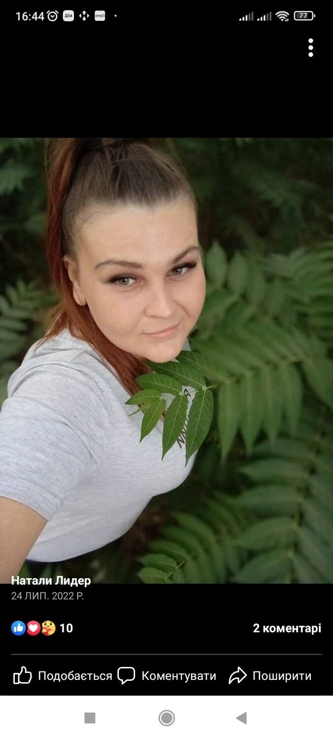  40084895  , 33 ,    