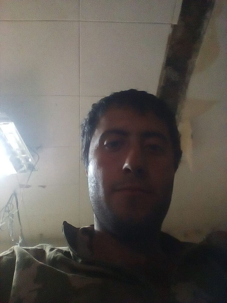  9865575  , 36 ,    