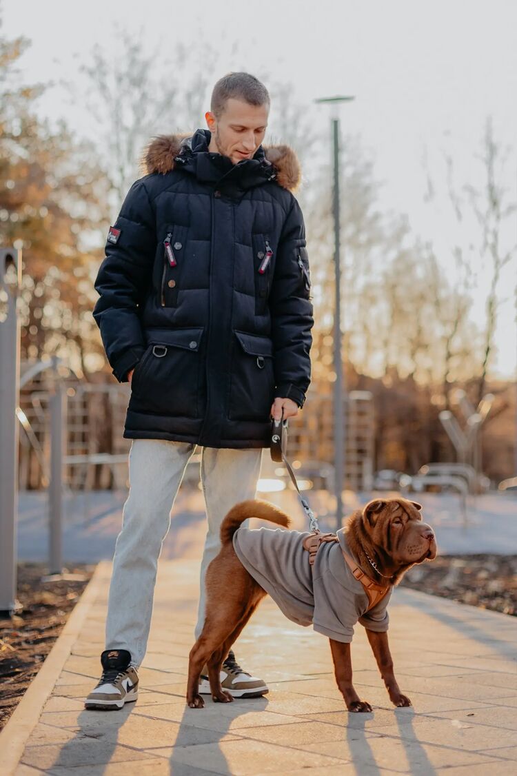 ���� 51730025 ������� �����, 26 ���, ���� ���������� � ����������