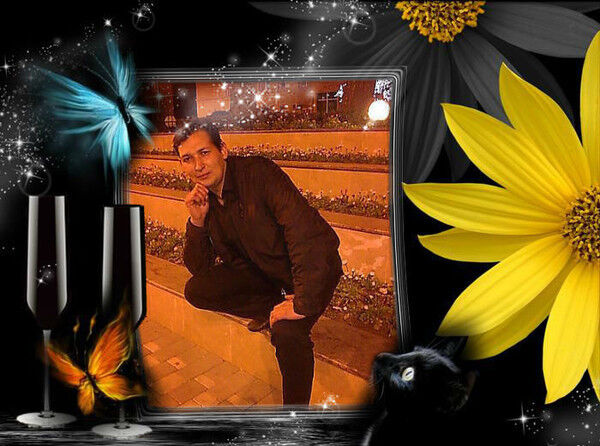 ���� 19146515 ������� Elman, 40 ���, ���� ���������� � ����