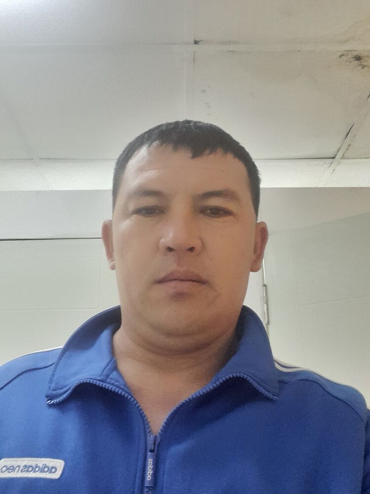  25815175  , 36 ,    