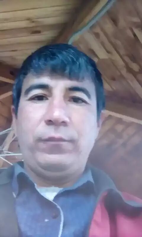 -,   , 42 ,   ,   