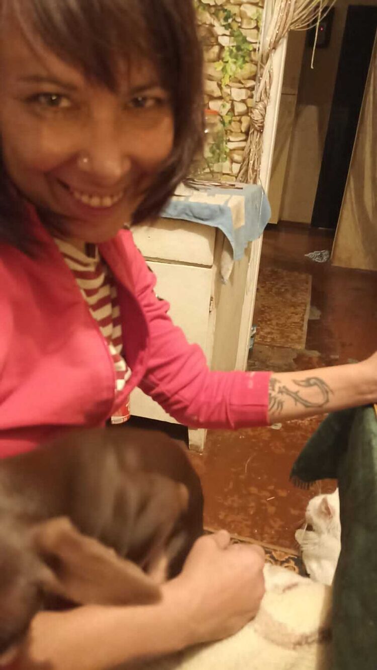  ,   , 44 ,   c 