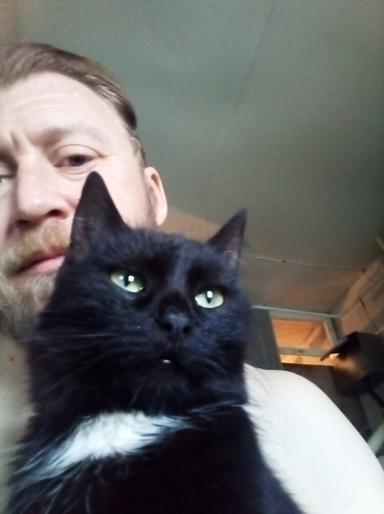  ,   , 41 ,   