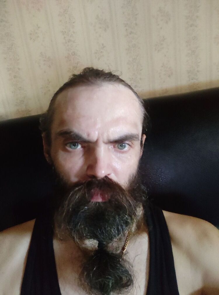  52536265  , 44 ,    