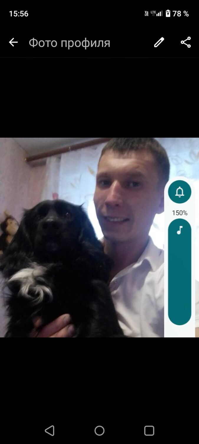 ���� 56004335 ������� ����, 34 ����, ���� ���������� � �������