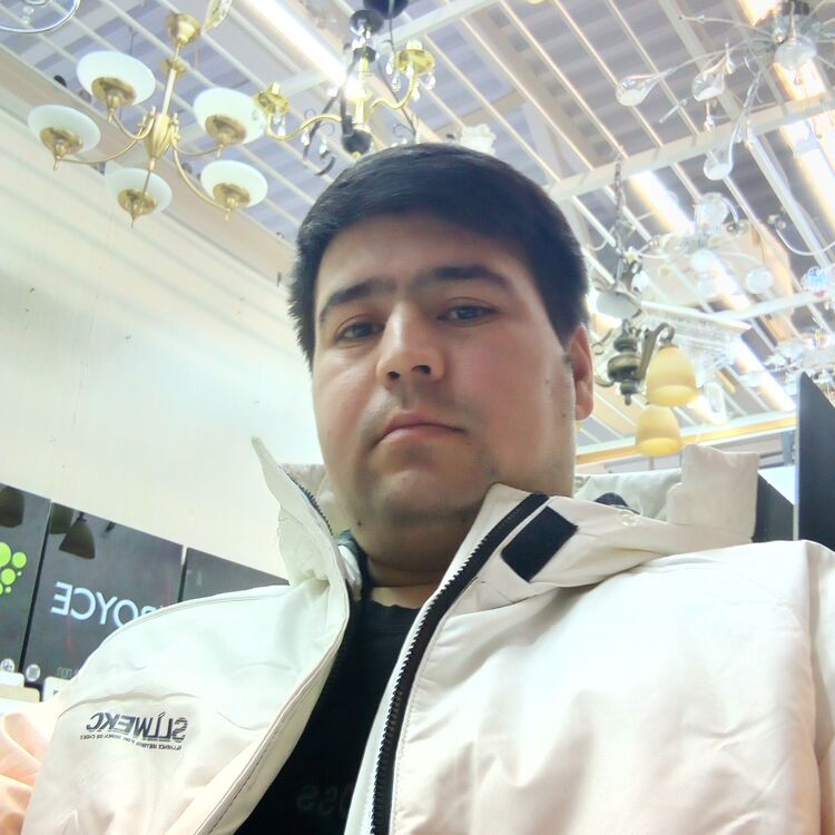  ,   DamiR, 37 ,   ,   , c , 