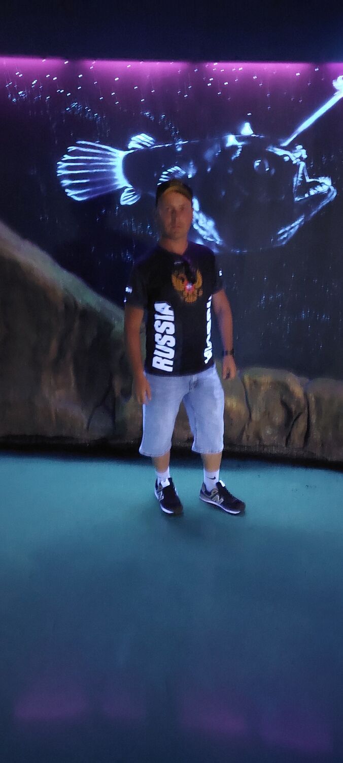 53038485  , 39 ,    