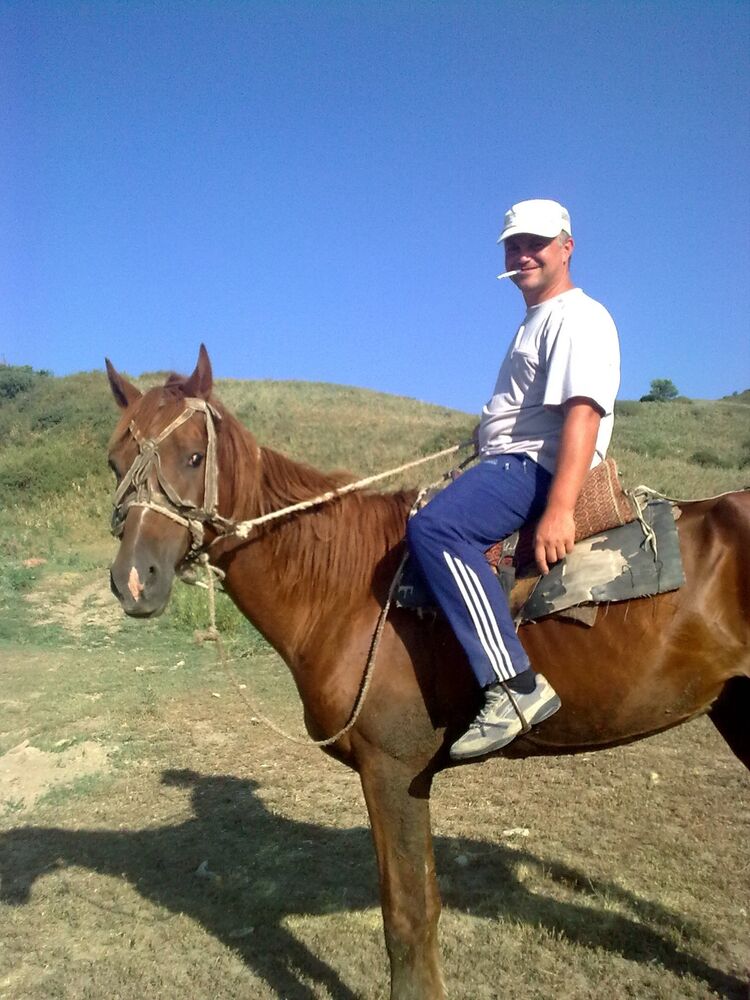 ���� 55335365 ������� �����, 56 ���, ���� ���������� � ������