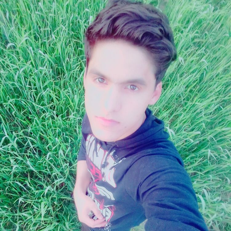 ���� 15354805 ������� FARRUH, 26 ���, ���� ���������� � �����-����������