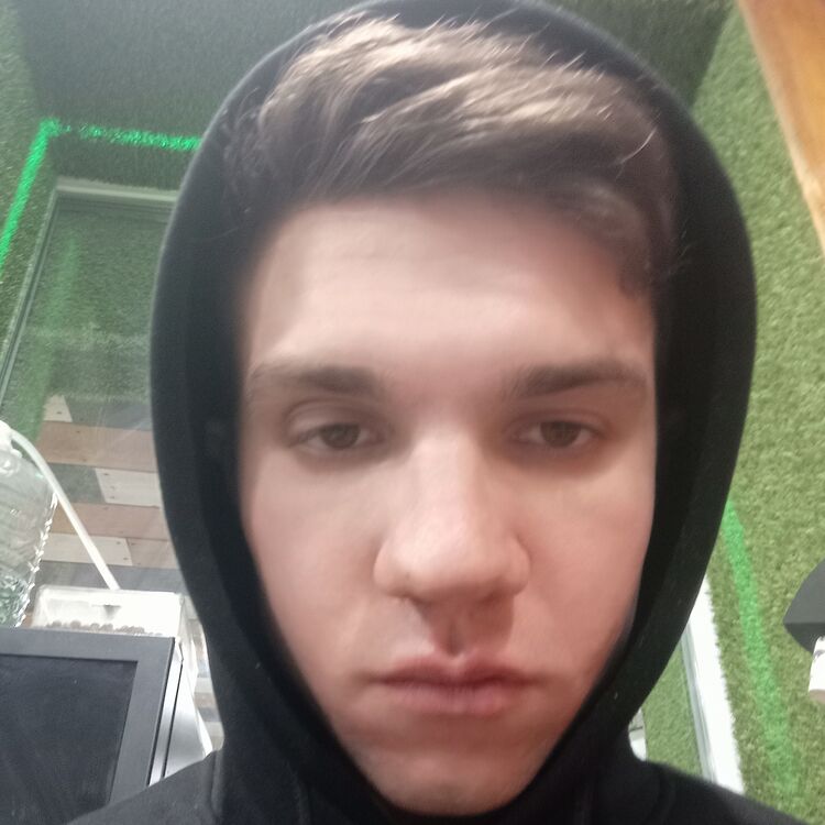  33035735  , 28 ,    