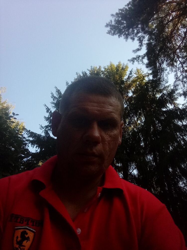  36596815  , 44 ,    