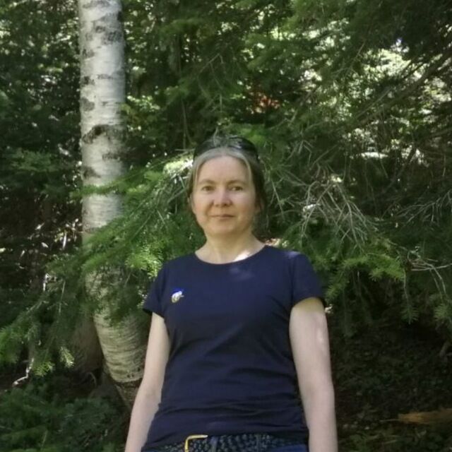 ���� 55995165 ������� �����, 45 ���, ���� ���������� � ����������