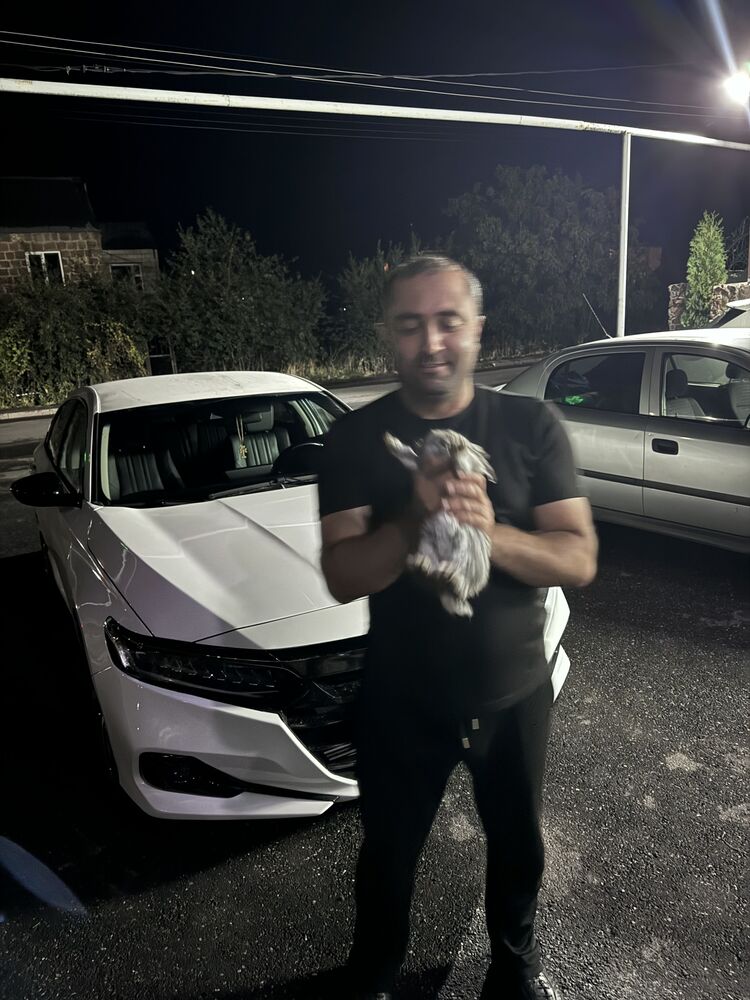 ���� 47267545 ������� ����, 36 ���, ���� ���������� � �������������