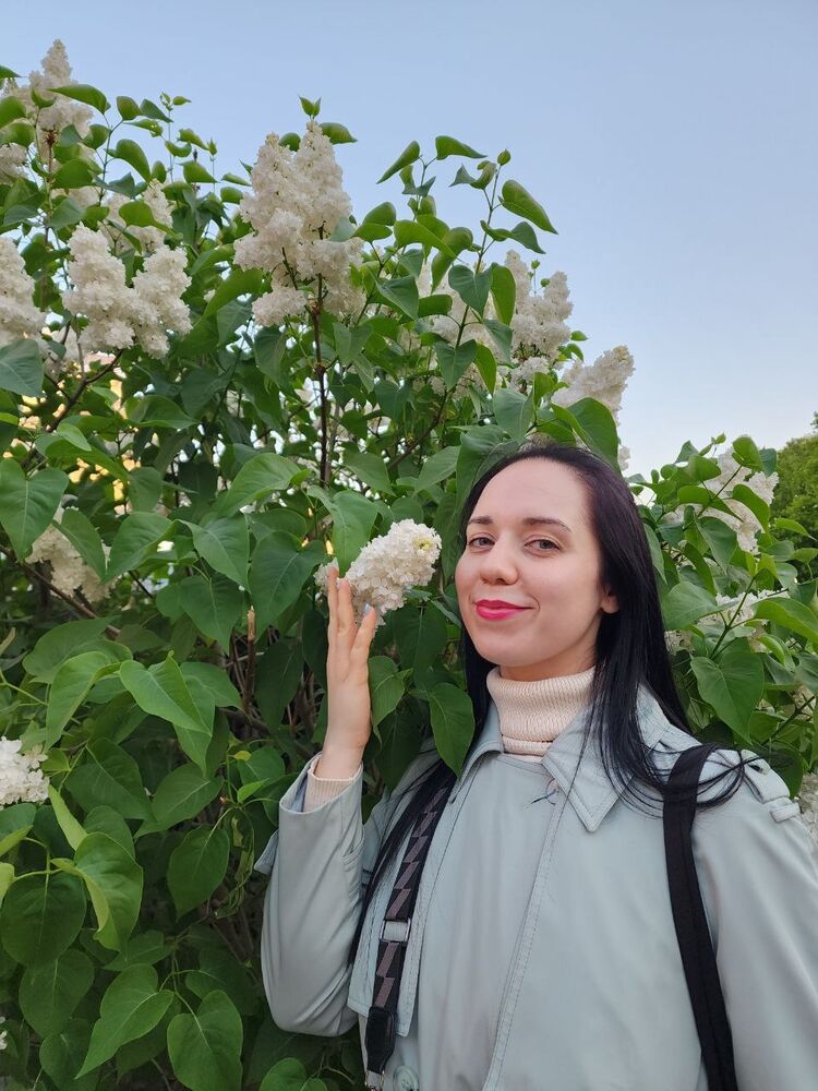 ���������� ��������, ���� ������� ������, 29 ���, ������������ ��� ������, ����� � ���������