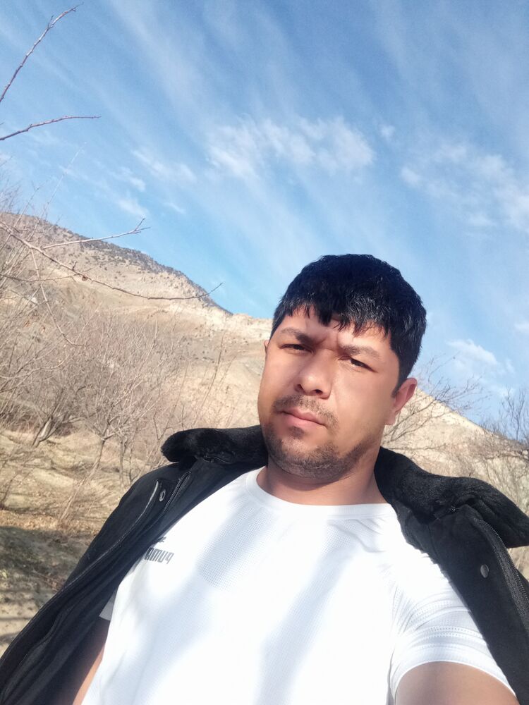  41120805  , 33 ,    