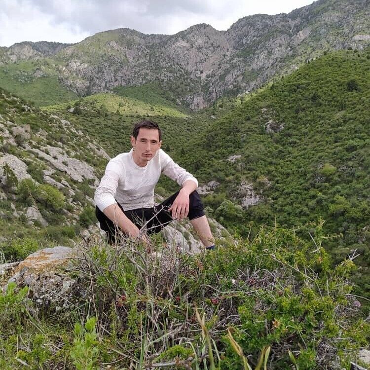 ���� 54042125 ������� �������, 33 ����, ���� ���������� � ������-���